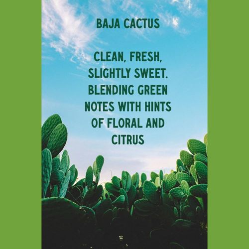 Buyitshipit - Baja Cactus from Our Spa Collection - Perfect for Adding Aroma to Freshies, Candles, Soaps, and Diffusers - 8 oz