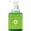 Pharmaact Medicated Foaming Hand Soap Bottle, 8.5 fl oz (250 ml)