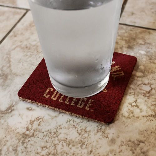 Rhode Island College Anchormen Logo Low Profile Novelty Cork Coaster Set