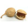 Generisch Buddafrucht Natur ca. 12 cm Bastelmaterial