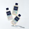 PHYTO PARIS SCALP SOLUTIONS Oil Absorbing Shampoo