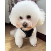 Solmoony No Pull Dog Harness - Step In, Mesh, for Small & Medium Dogs (Black, M) - Includes Leash