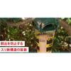 Fumakilla Bee Super Super Geki 1 Piece Bee Control Insecticide