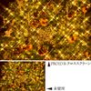 Kenko 62mm PRO1D R-Cross