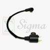 Ignition Coil For WEN 56105 1000-Watt Portable Generator