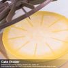 Cake Divider, 10/12 Slices Medium Round Cake Cutter Separator Piece Bread Cake Divider Same Part Cutter Slice Marker Baking Tool