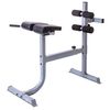 CAP Strength Roman Chair, Gray