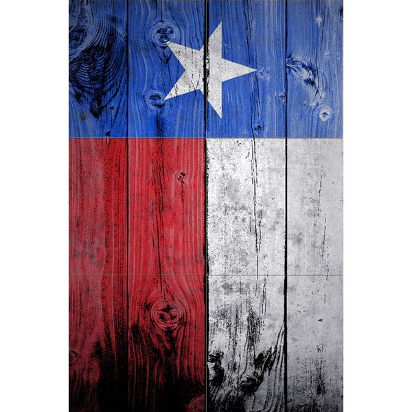 12 x 18 Ceramic Mural Texas Flag Art Bath Backsplash Decor Tile 3528