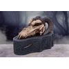 Nemesis Now Dragon Skull Box (Monte Moore) Black, 17.7cm