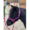 POLKA DOT HEADCOLLAR WITH LEAD ROPE FULL-MINI SHETLAND (Raspberry, Full)