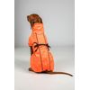 Back on Track Bark Allround Dog Coat Orange (30 cm)