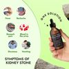 Kidney Support and Urinary Tract Support with 7 Plant Extracts Optimal Kidney