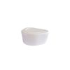 Queralto Protective Box for Prosthesis, Implants and Dental Silicone