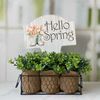 Hello Spring Aluminum Yard Sign 10x14