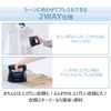 Panasonic NI-FS580-C Clothes Steamer, 360° Powerful Steam, Compact Type, Beige