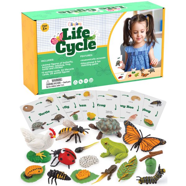 Life Cycle Kit Montessori Realistic Figurine Toys, Kids Animal Matching Game with Frog, Ladybug and More Includes 24-Piece, Science, Learning and Education Toys, Fun Learning for Children 3 4 5 6 7 8