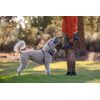 RUFFWEAR Turn Up Sage Green