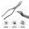 6 Pcs Basic Dental Extraction Exodontia Kit German Grade Veterinary Instruments
