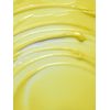 True Botanicals - Natural Ginger Turmeric Cleansing Balm | Clean, Non-Toxic, Natural Skincare (3.4 oz | 100 ml)