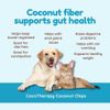 Cocotherapy Ctt-0002-6 Coconut Chips (1 Pouch), 6 Oz