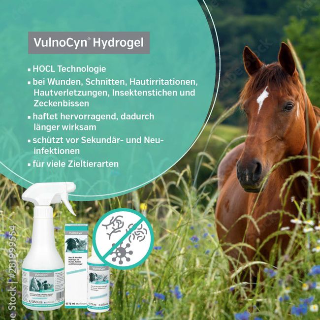 Alfavet VulnoCyn Hydrogel für Hunde, Katzen und Kleintiere, gegen Bakterien, Viren und Pilze, Pumpspray 75ml