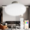 LED Ceiling Light, 6 Tatami Mats, Dimmable, High Color Rendering, Energy Saving, Ceiling Light, Remote Control, Bluetooth Compatible, Timer Function, Dimmable, Smart Ceiling Light, Easy Installation,