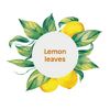 ATTITUDE Liquid Hand Soap, Plant- and Mineral-Based Formula, Vegan & Cruelty-free Personal Care Products, Lemon Leaves, 16 Fl Oz