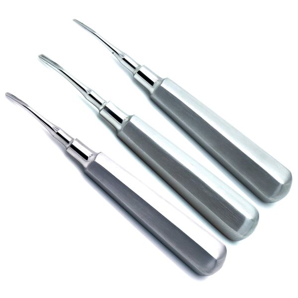 Dental Elevator Root Luxating Surgical Instruments Curved Tip Standard Set of 3