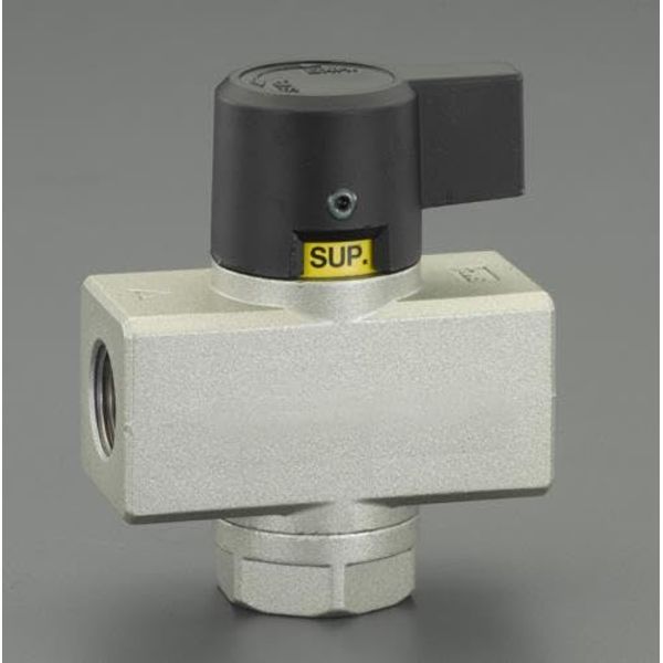 ESCO Hand Valve Rc1/4" EA153SJ-61