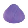 Wisteria Directions Hair Colour