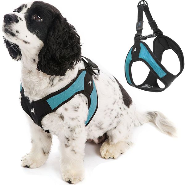 Gooby Escape Free Easy Fit Harness - Turquoise, Large - No Pull Step-in Patented Small Dog Harness with Quick Release Buckle - Perfect On The Go No Pull Harness for Small Dogs or Medium Dog Harness