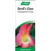 A.Vogel Devil's Claw Harpagophyum Drops (100ml)