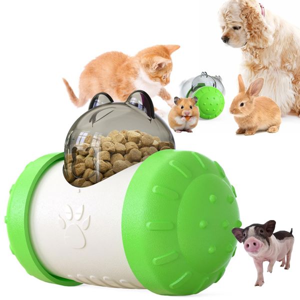 grwSEXabc Enhanced Dog Treat Dispenser Slow Enrichment Dispenser Food Puzzles Ball Interactive Chase Training Toys for Small Puppy Cat Bunny Hamster Pet Pig (Green)