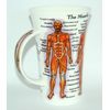 Dunoon Fine Bone China Glencoe Shaped Mug - The Human Body