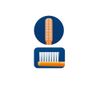 Ci 903 (2 Row Toothbrush) S Soft 10 Pieces (Color Not Available)