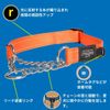 ROGZ UTILITY Half Chain Collar for Dogs Medium Size (L, Orange) [Parallel Import]