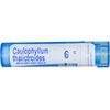 Caulophyllum Thalictroides 6C - Homeopathic Medicine for Menstrual Cramps (80 Pellets)