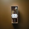 Botanical Light Sandalwood Floral Reed Diffuser 3.52 FL