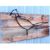Natural Dakota Rustic Barbwire "100% Authentic Rusty Barbwire" (24 Feet)