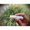KYVAN KYVAN Soothing Coconut Lip Balm - 3 Pack, USDA Certified Organic, Paraben Free, 15 oz each