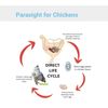 CHICKENS HENS ROOSTERS DEWORMER - MADE IN USA