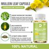 2*120Pcs Mullein Leaf Capsules | 3000mg | 200 Count | Support Lung Cleanse
