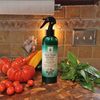 Silver Shield Sanitizer, All Natural Colloidal Silver MicroCleanser, 12 oz.