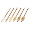 Amtech F1425 6 Piece Titanium Flat Wood bit Set