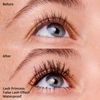 Black Waterproof Mascara 3 Pack Volumizing False Lash Effect Vegan Cruelty Free