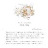 Nail Parts: Smooth Shell Stone, Gel Nail Shell, Natural Shell
