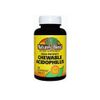 Nature's Blend Acidophilus Chewable 100 Tabs