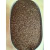 Centipede Grass Seed - Raw 1 LB FREE SHIPPING - WE SHIP FAST