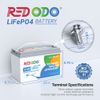 Redodo 12V 100Ah Lithium Battery with Low Temperature Cut-off Protection & BMS