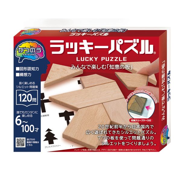 Hanayama Katsuno Lucky Puzzle
